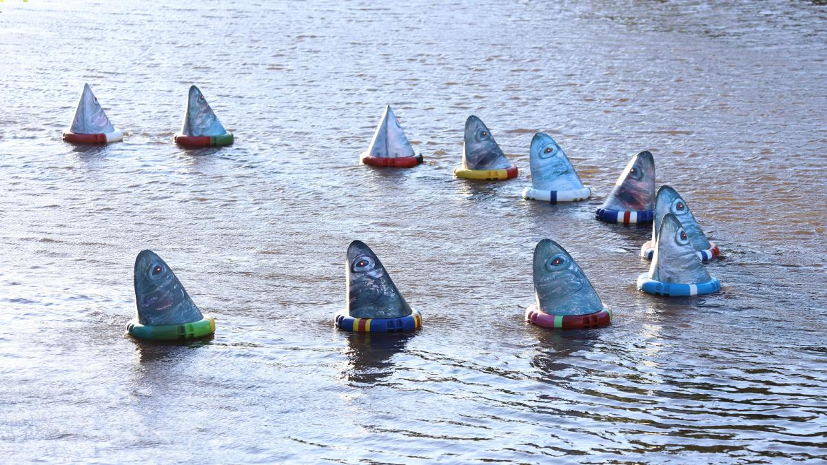 A group of small boats floating on top of a lake