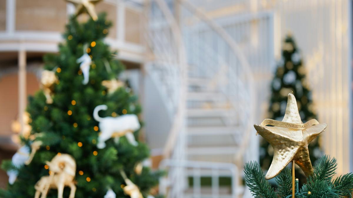A christmas tree with a gold star on top of it