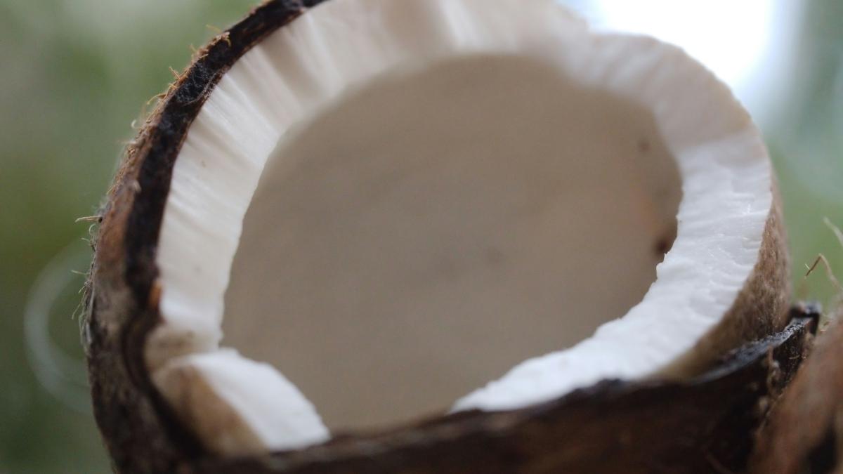 A close up of a half eaten coconut