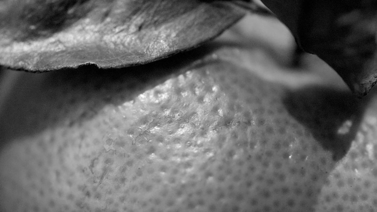 A black and white photo of an orange