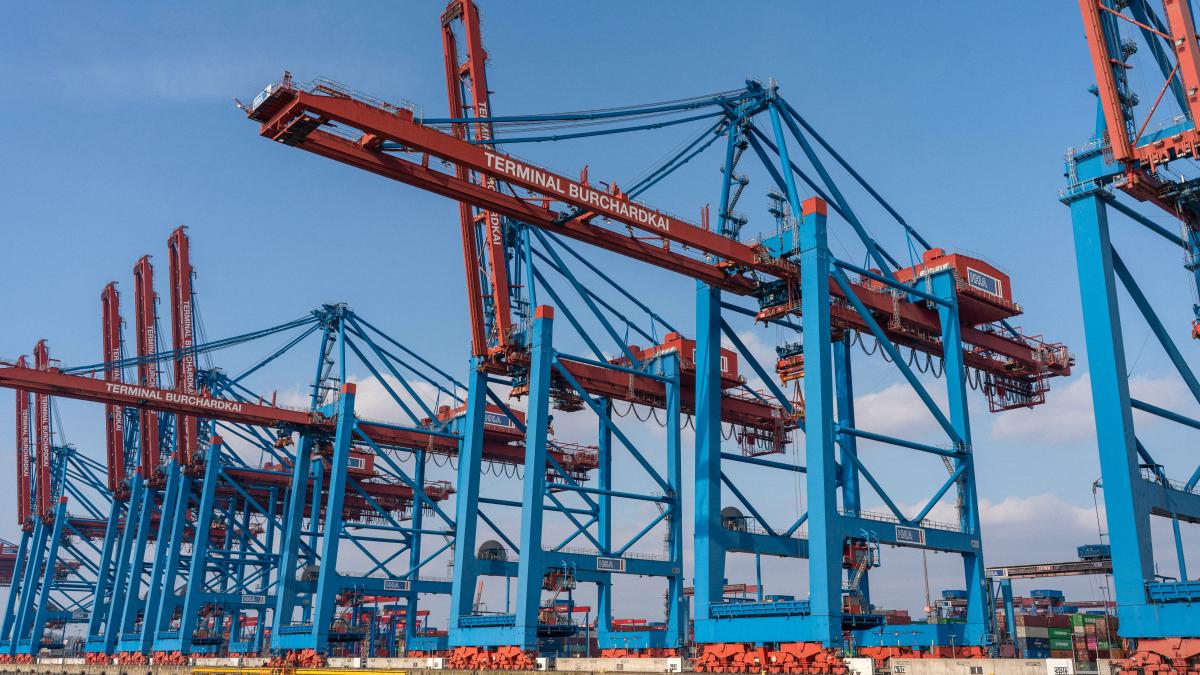 Cargo cranes stand tall at a bustling port.