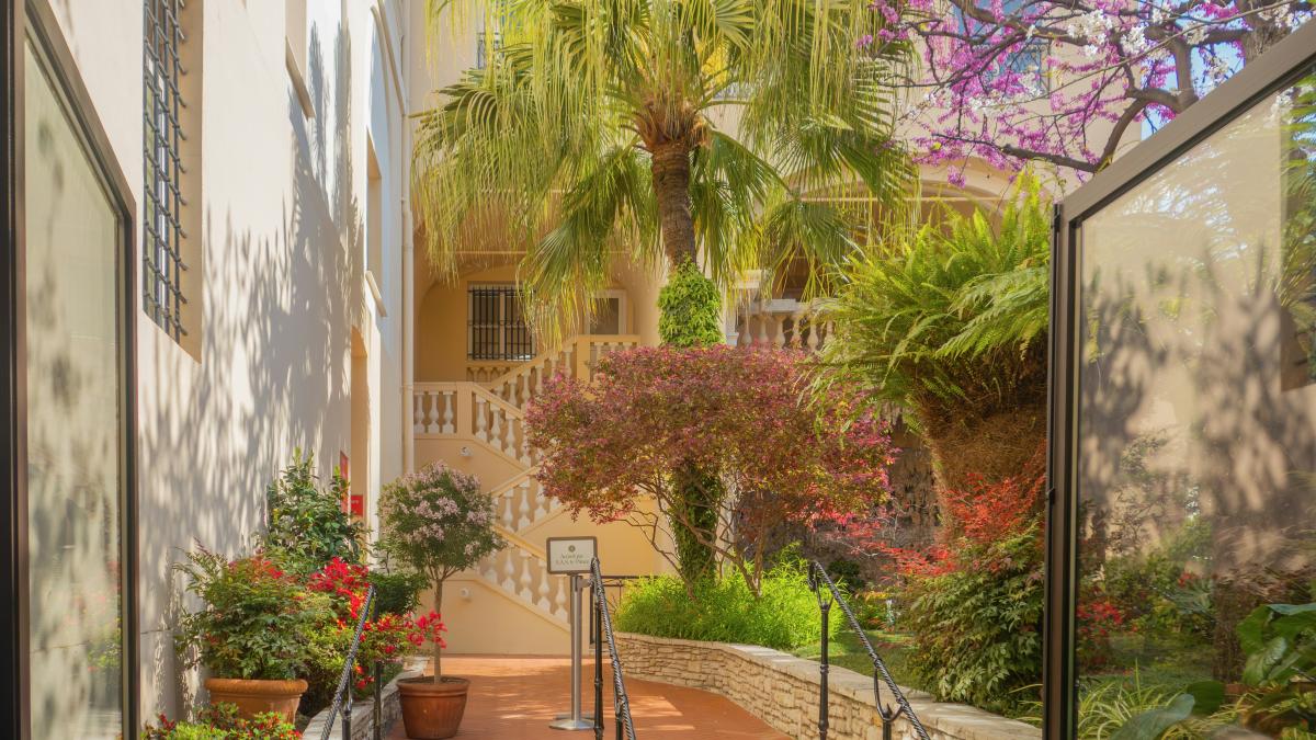 A sunny courtyard with plants and stairs.