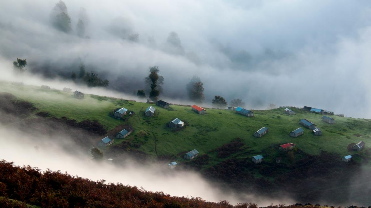 houses surrounded by fog