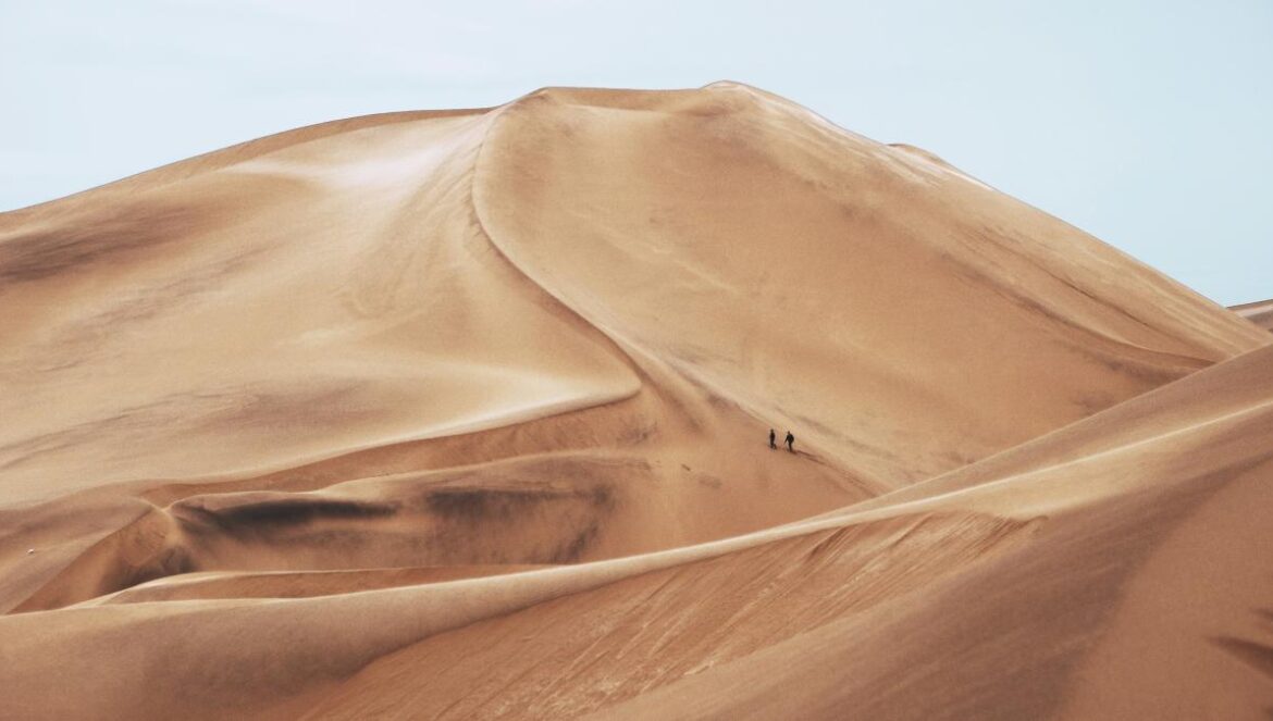 two people standing in desert field during daytime