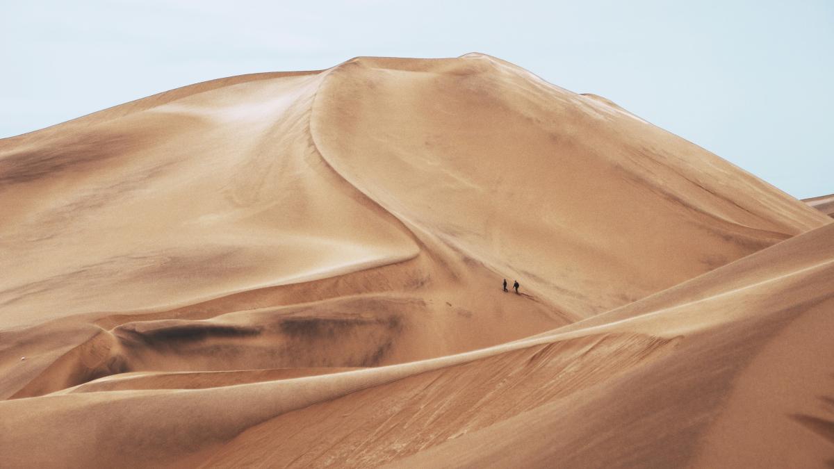 two people standing in desert field during daytime