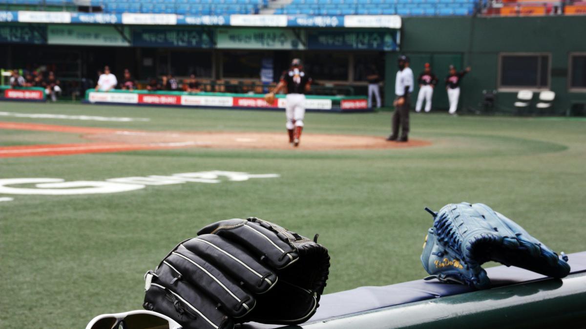 two black and blue baseball mitts on rail