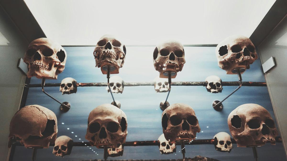 hanged skull collection