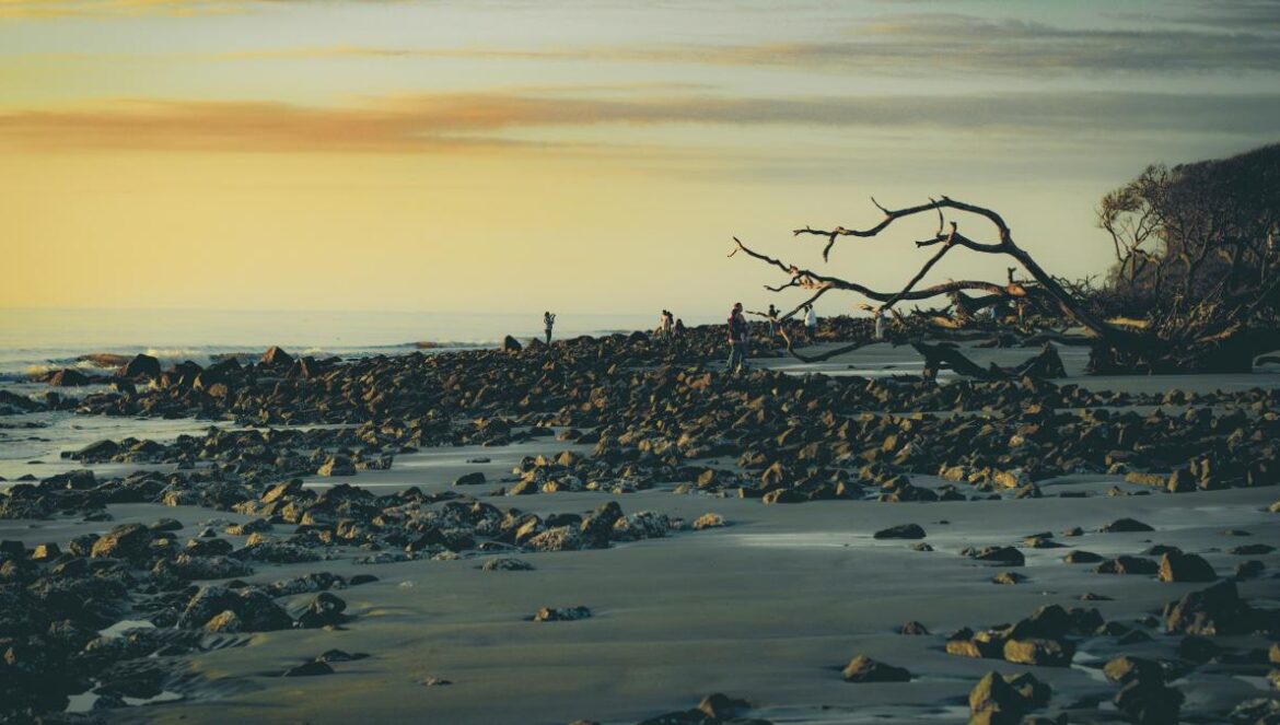 stones near body of water