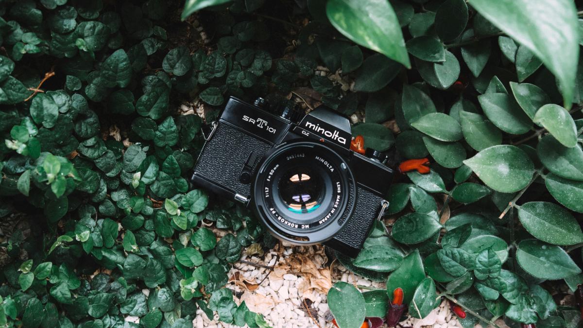 high angle photo of black Minolta bridge camera