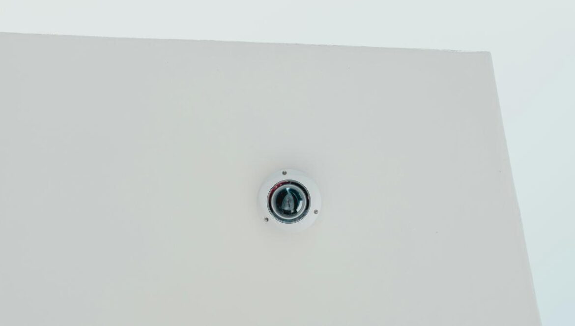 white and black dome security camera