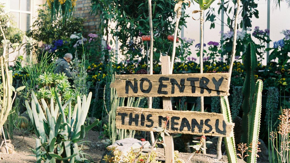 brown wooden frame near green leafed plants
