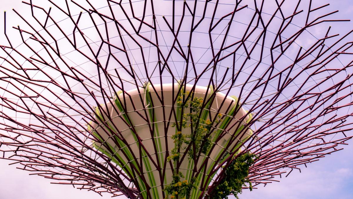 green and white plant