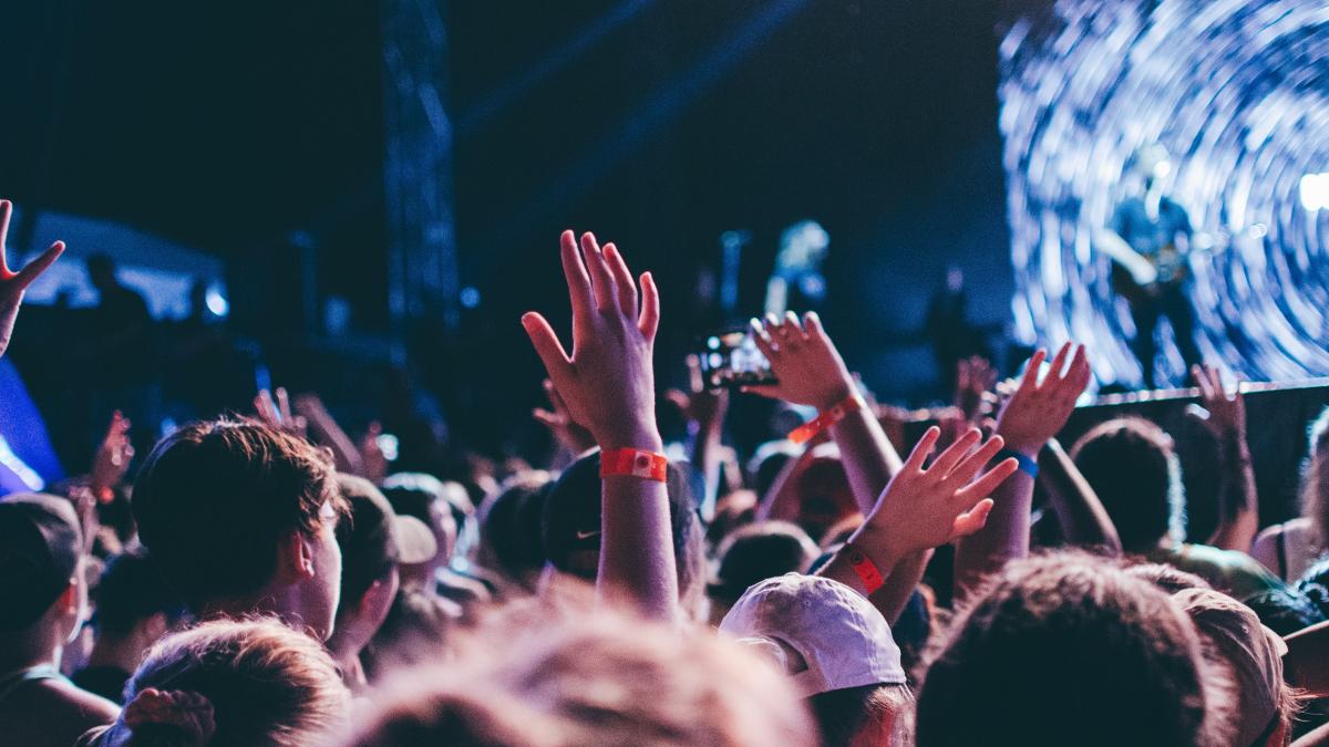 people on the concert photograph