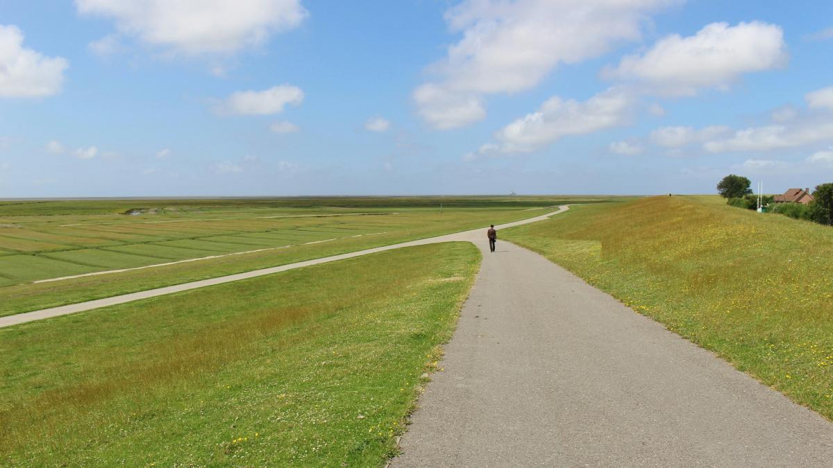 person walking on road