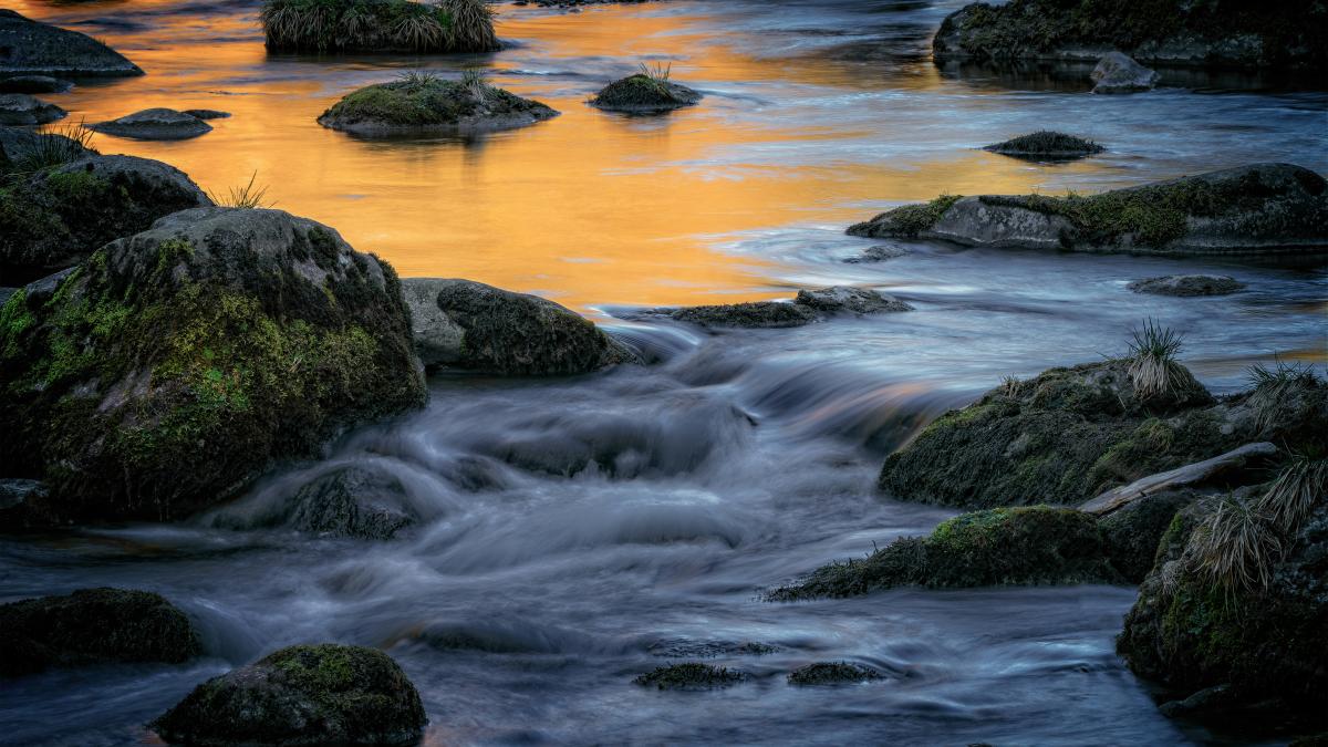 rocky shore with green moss and rocks during sunset