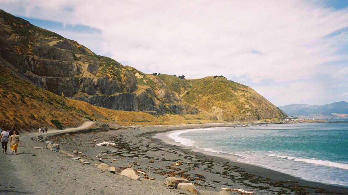 brown and green mountain beside body of water during daytime