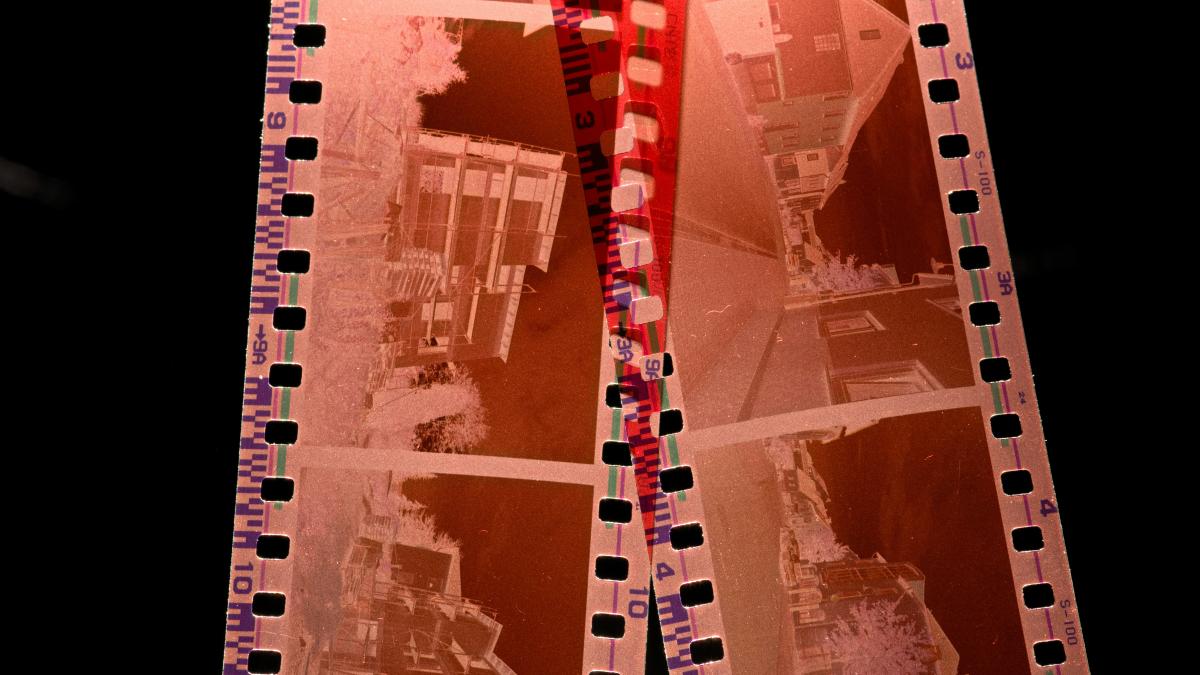 white and blue checked textile