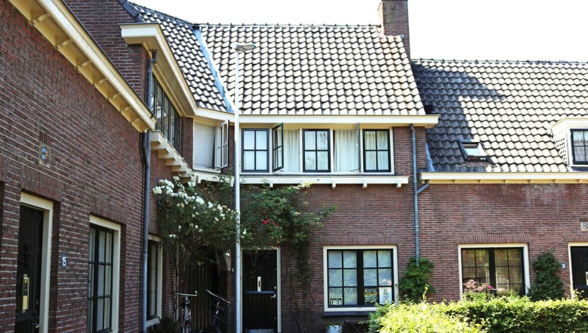brown brick house with green plants