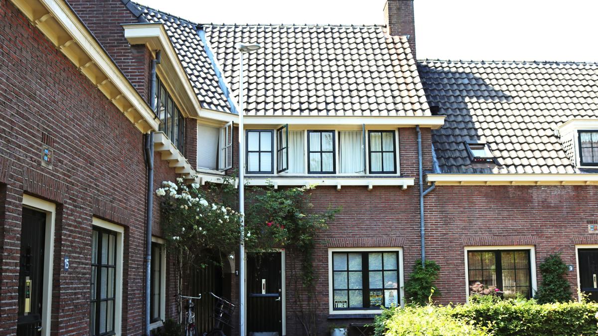 brown brick house with green plants