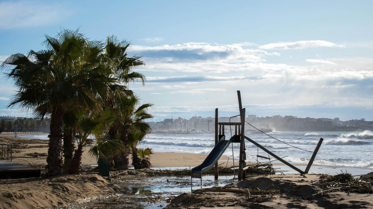 brown wooden ladder on beach shore during daytime