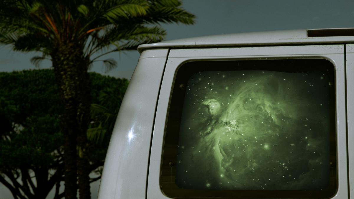 white van with green leaves