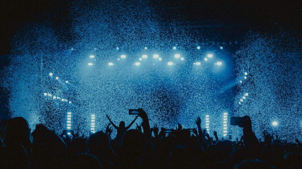 people watching concert during night time