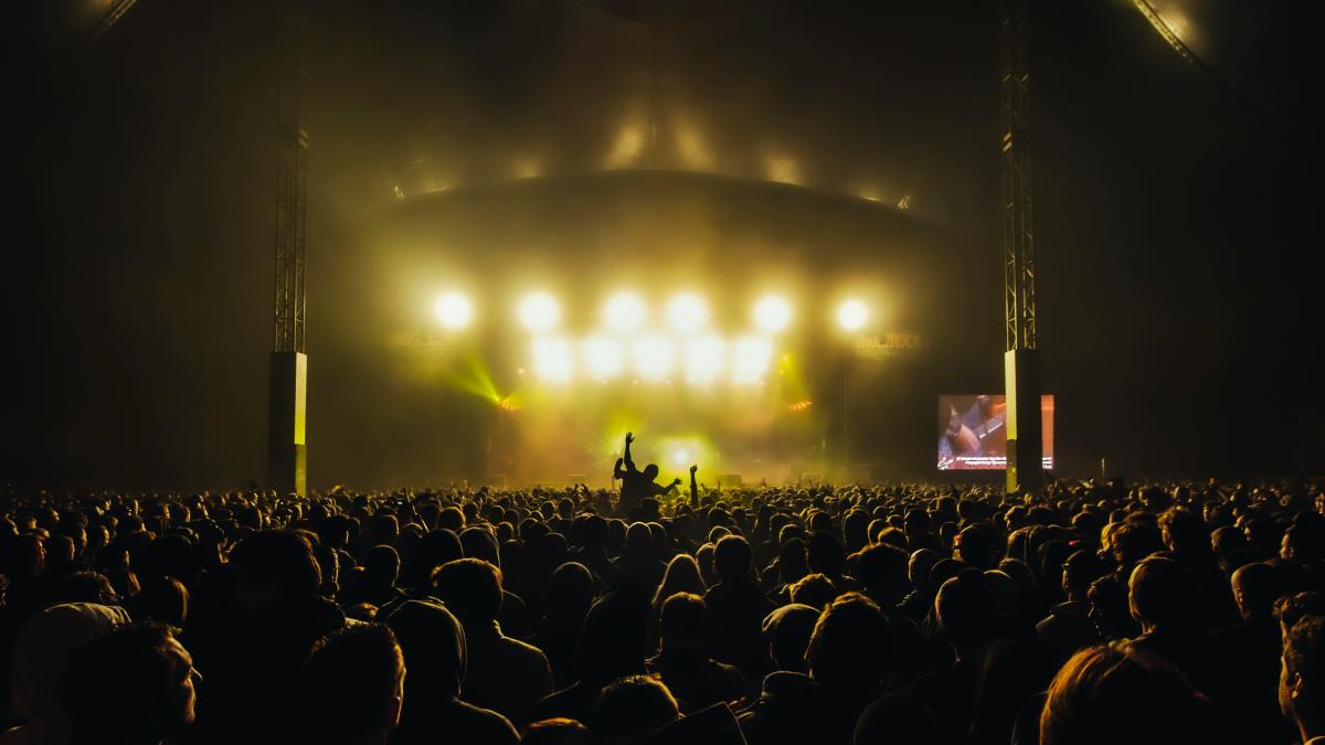 people watching concert during night time