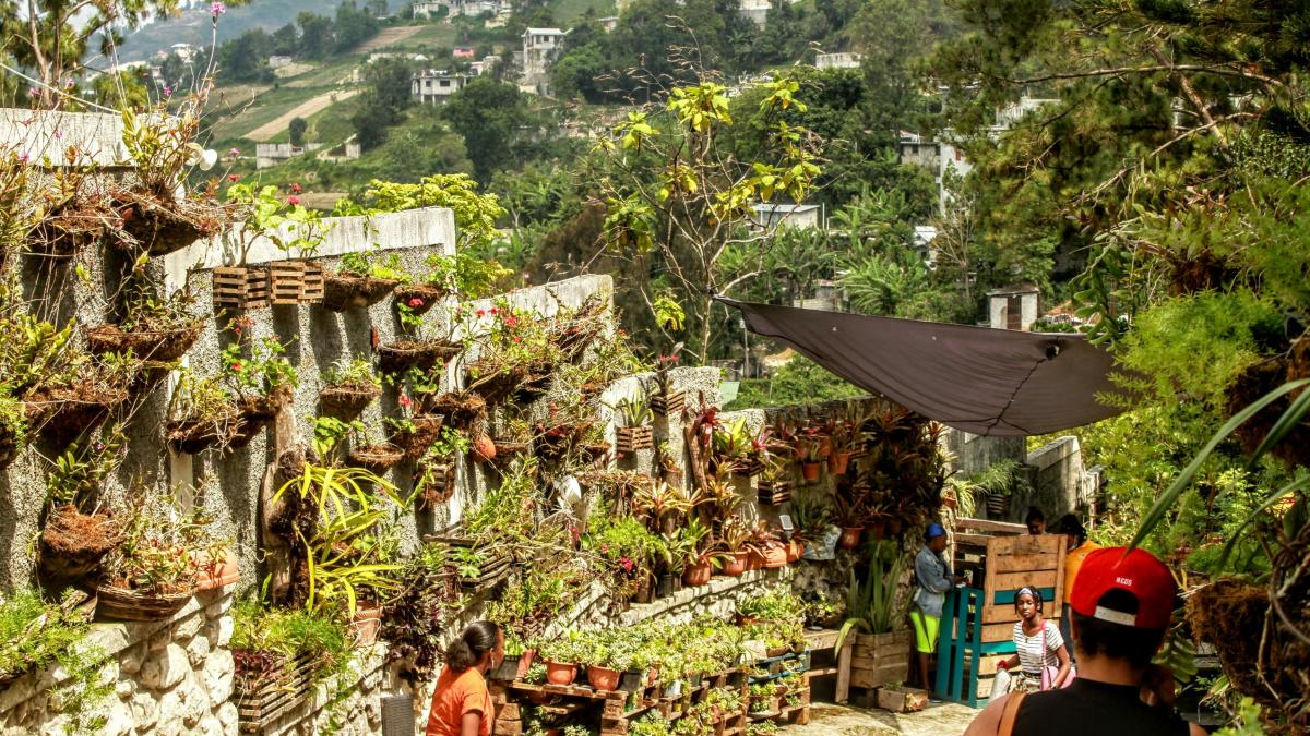 green and brown plants on brown clay pots