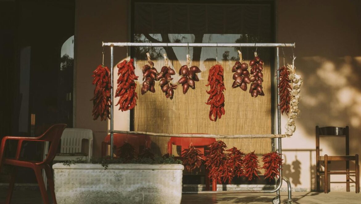red flowers on gray concrete wall