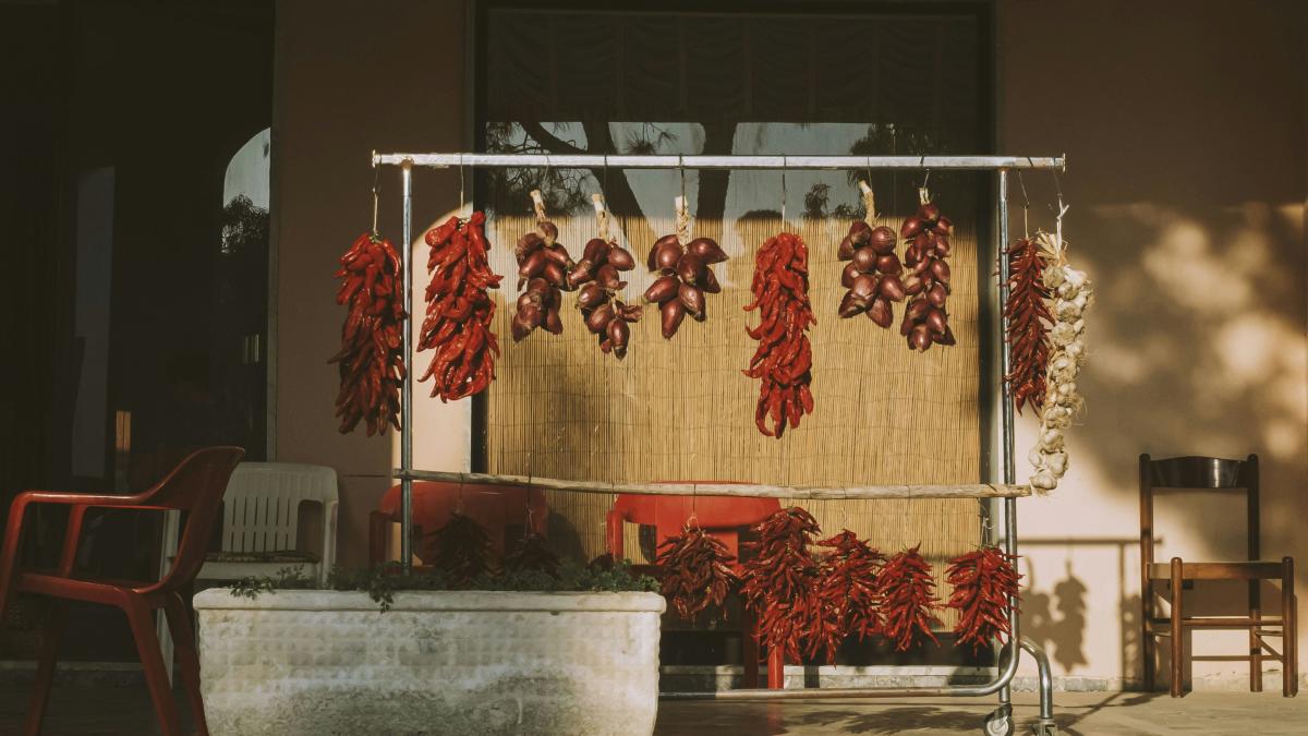 red flowers on gray concrete wall