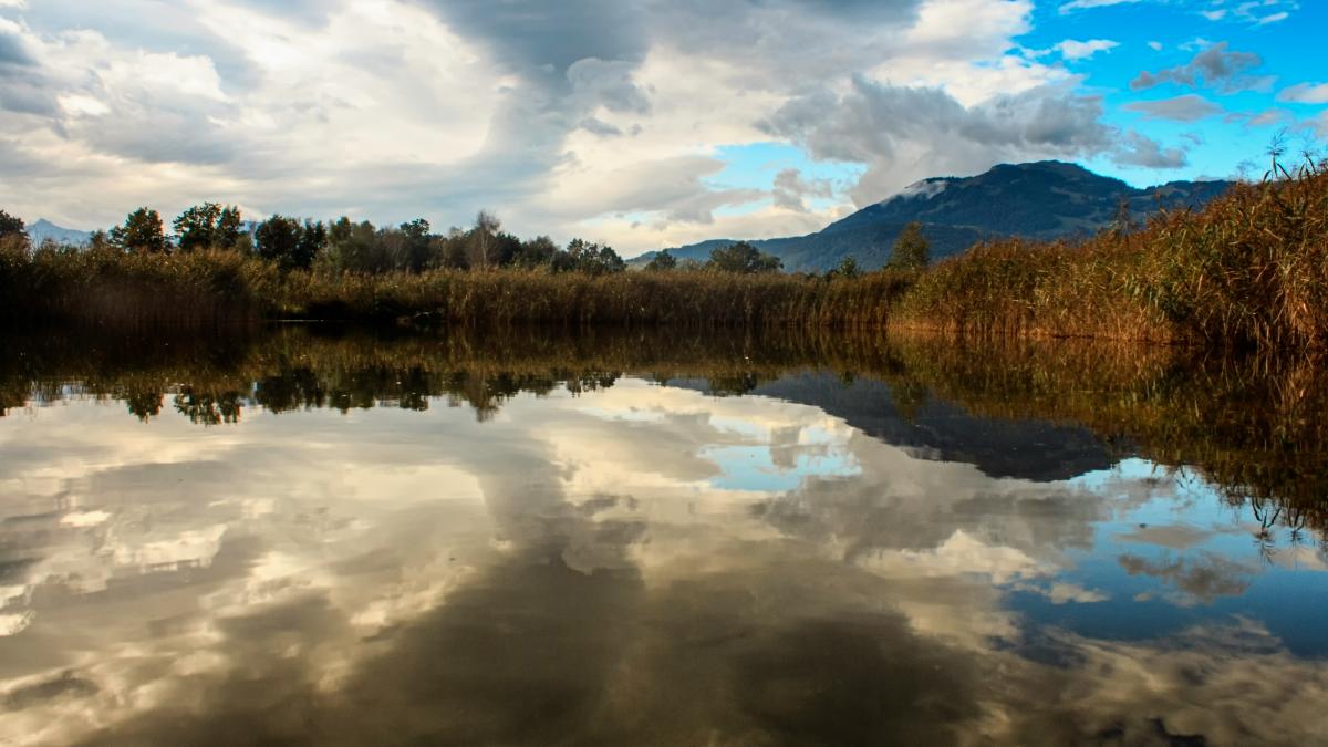 a body of water surrounded by trees and clouds