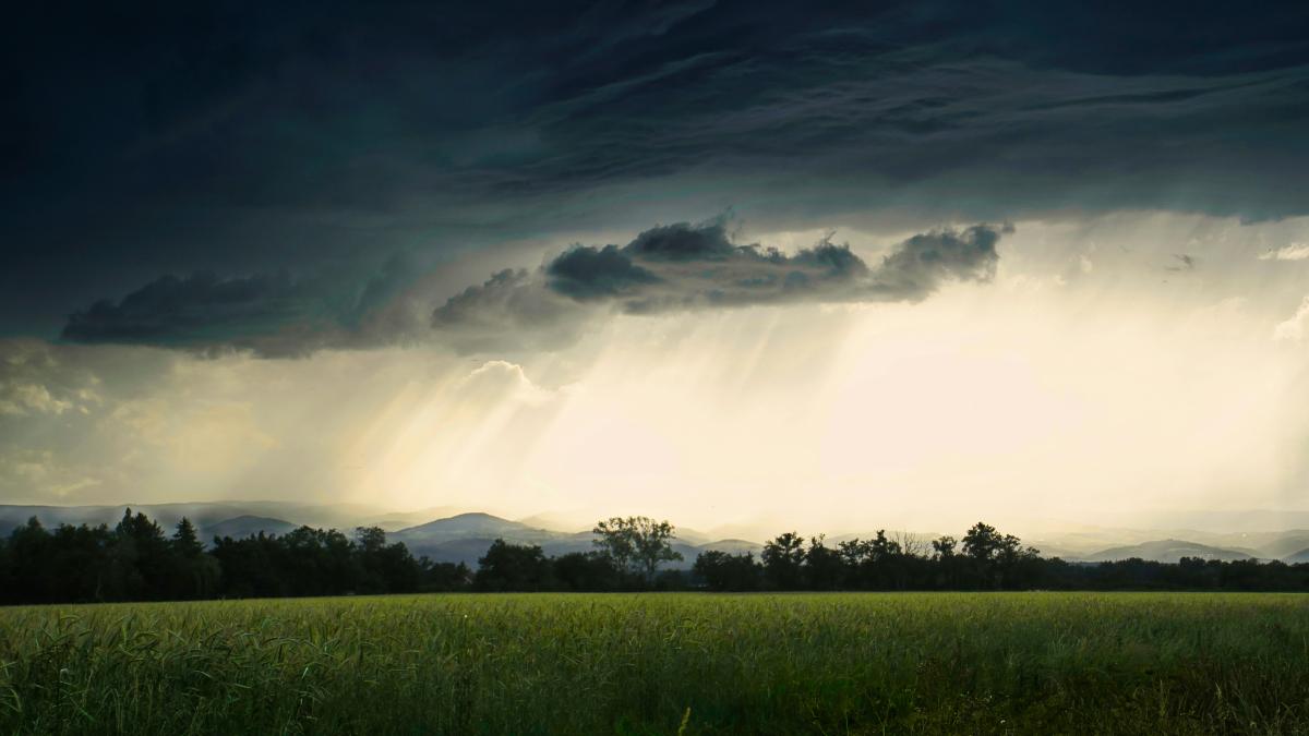 a large field of green grass under a cloudy sky
