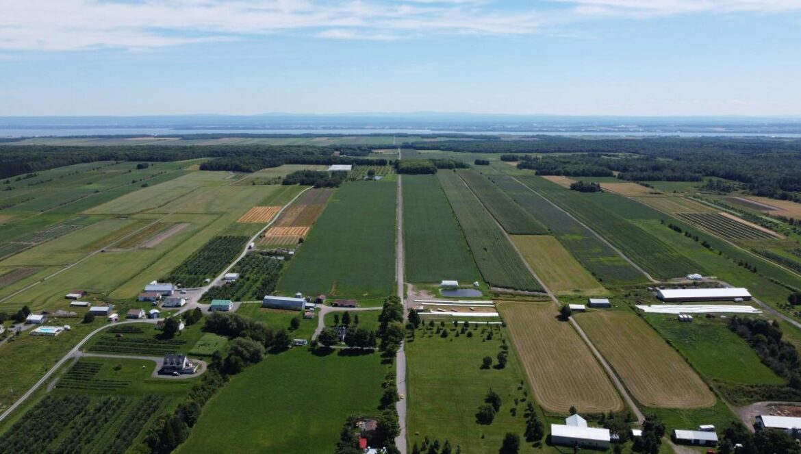 an aerial view of a farm