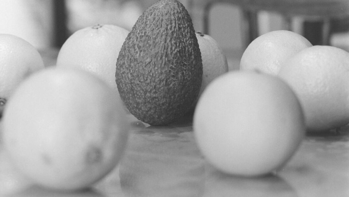 a group of eggs