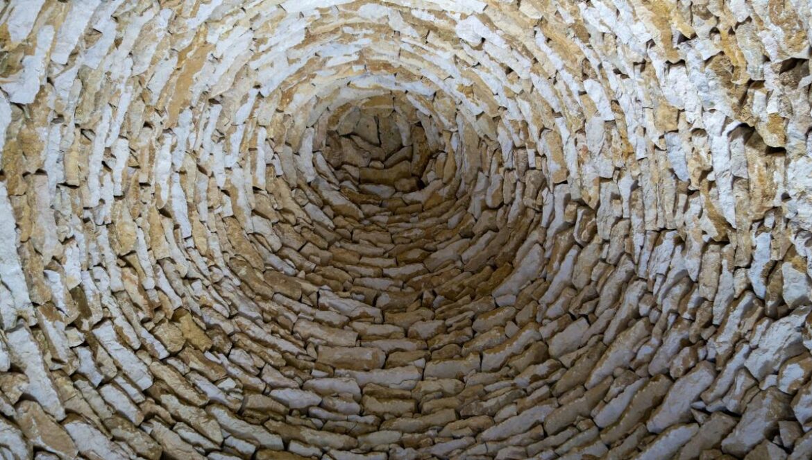 a close-up of a cracked rock