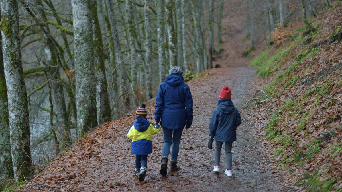 a group of people walking down a path in the woods