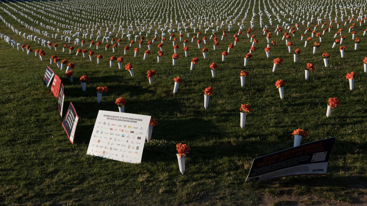 a field full of orange and white flowers