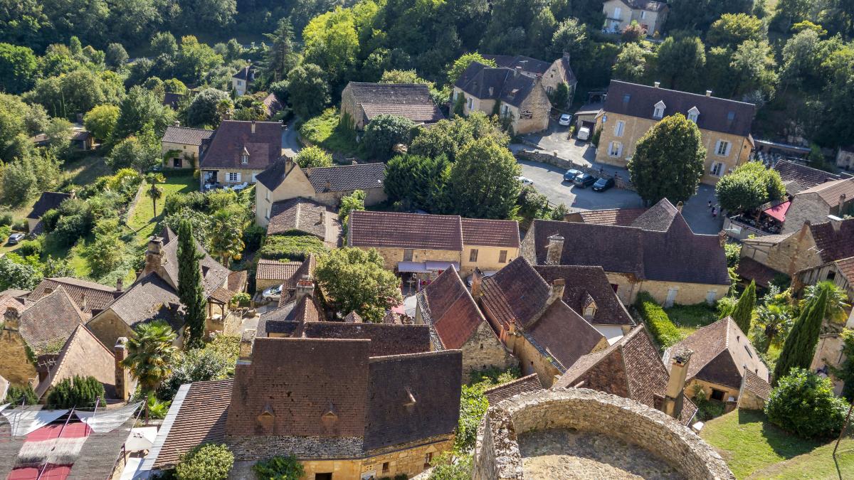 an aerial view of a village in the countryside