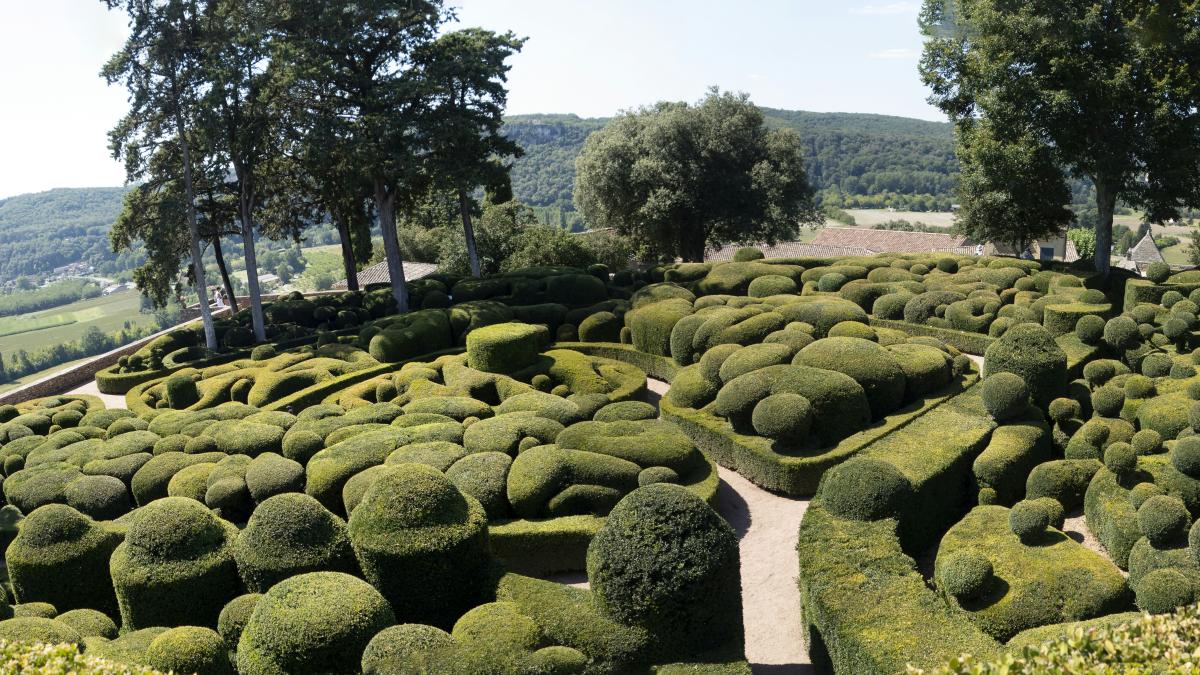 a very large garden with a lot of hedges