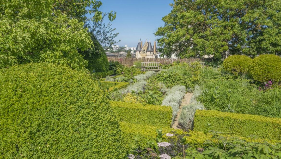 a lush green park with lots of trees and bushes