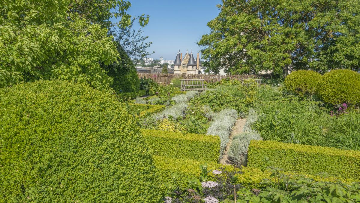 a lush green park with lots of trees and bushes