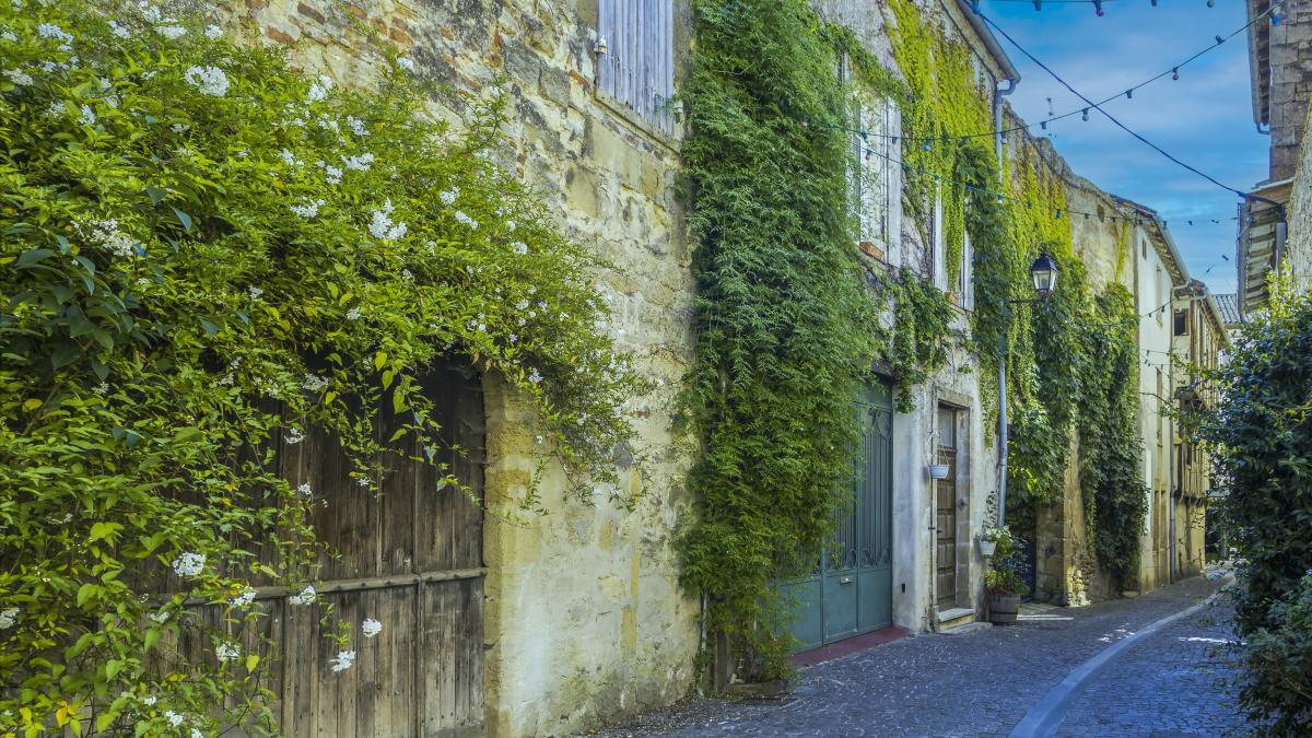 a narrow street with ivy growing on the buildings