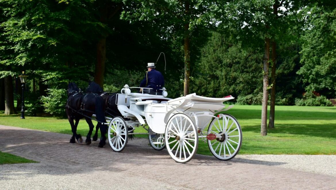a white horse drawn carriage on a paved road