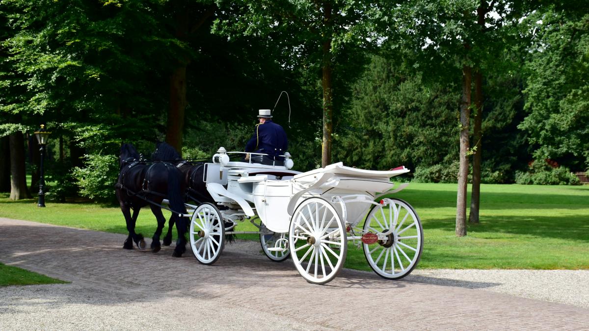 a white horse drawn carriage on a paved road