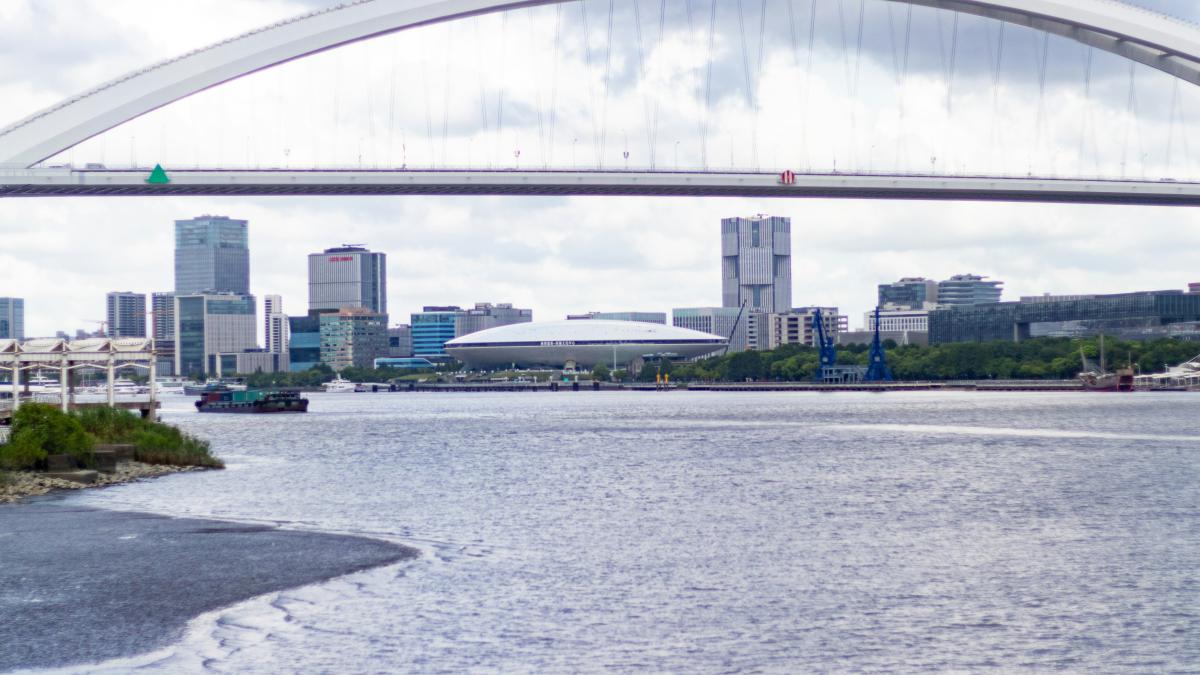 a bridge over a body of water with a city in the background