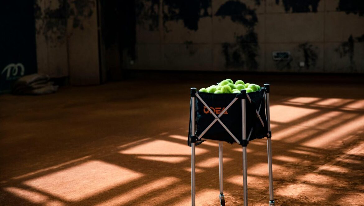 a basket of green apples sitting on top of a table