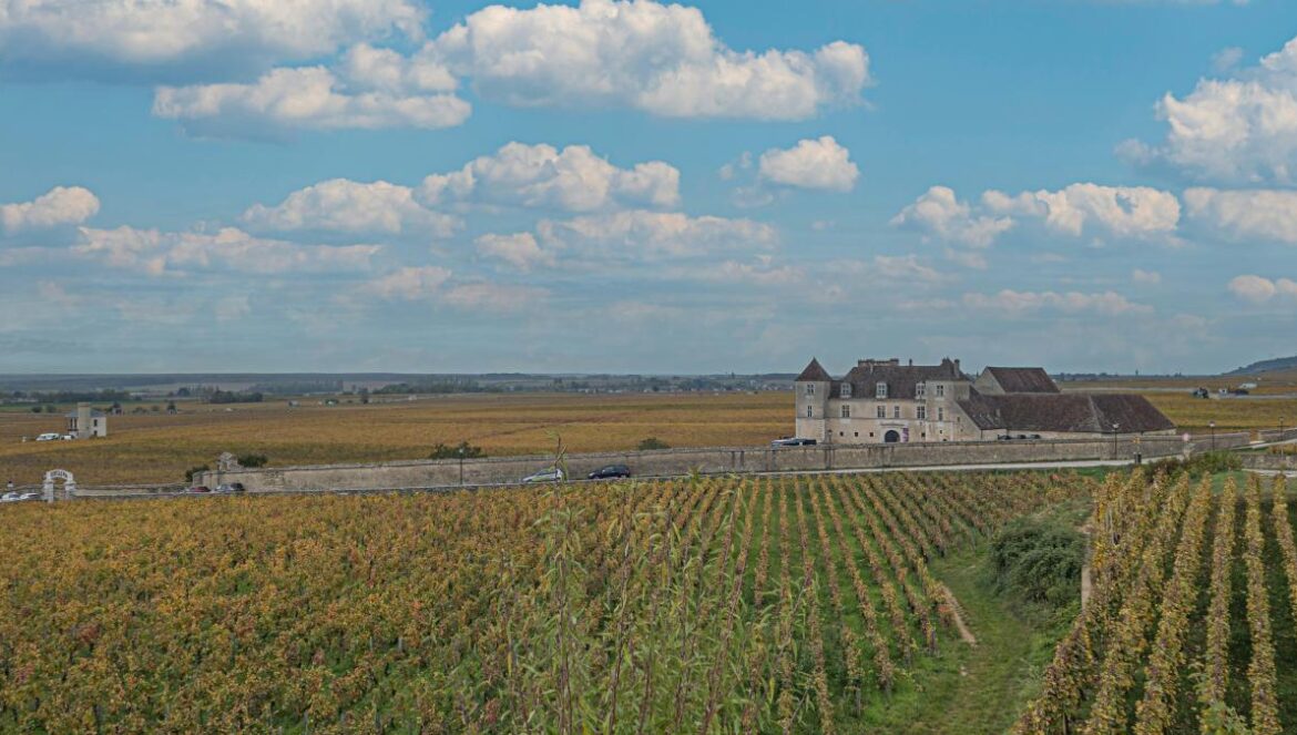 a large field with a house in the middle of it