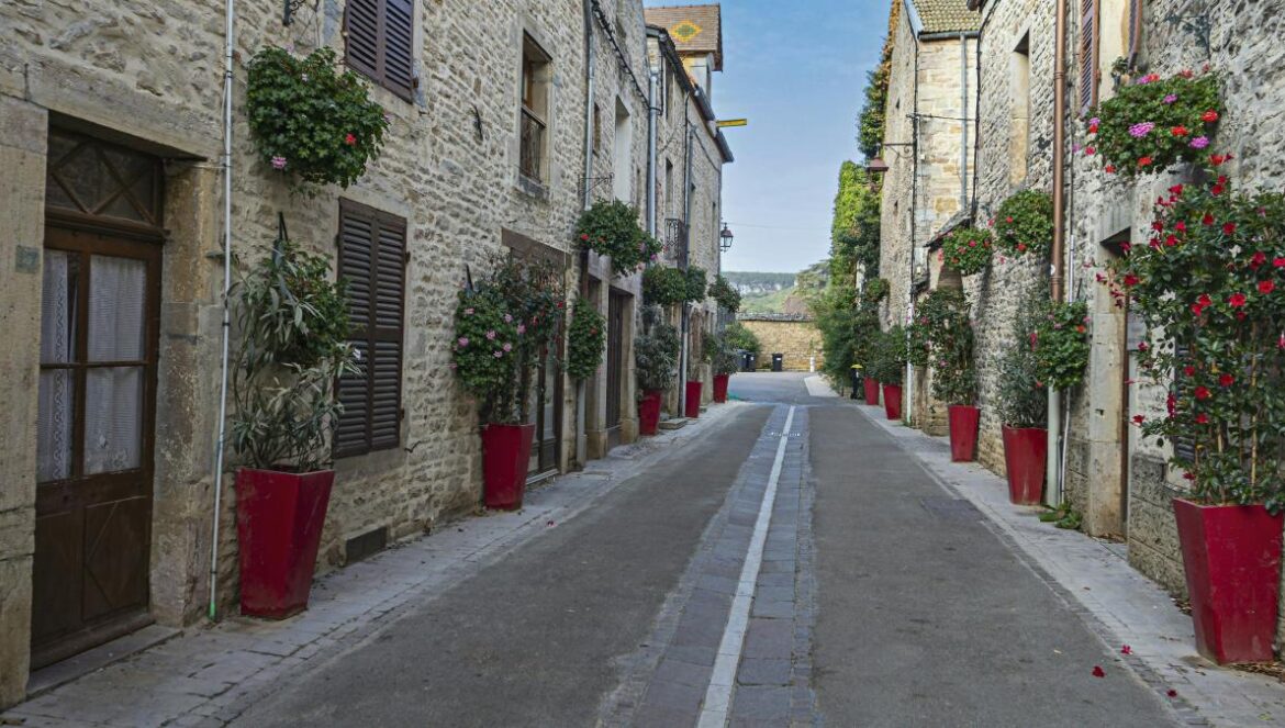 a narrow street lined with potted plants