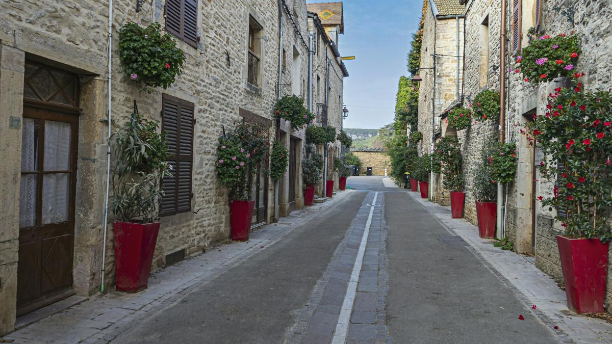 a narrow street lined with potted plants