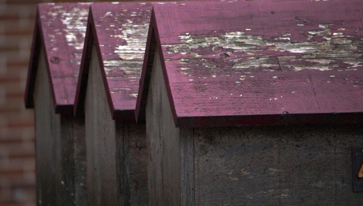 a close up of a bird house with a brick building in the background